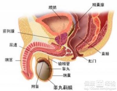 第2步
